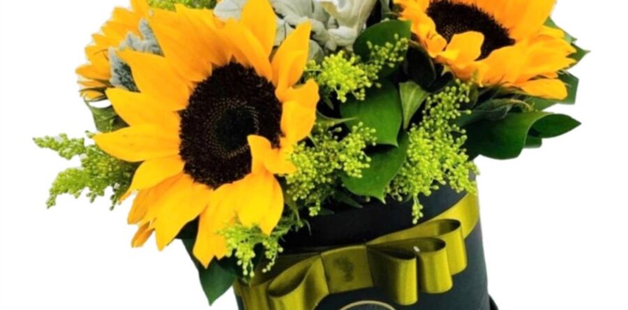 D-29